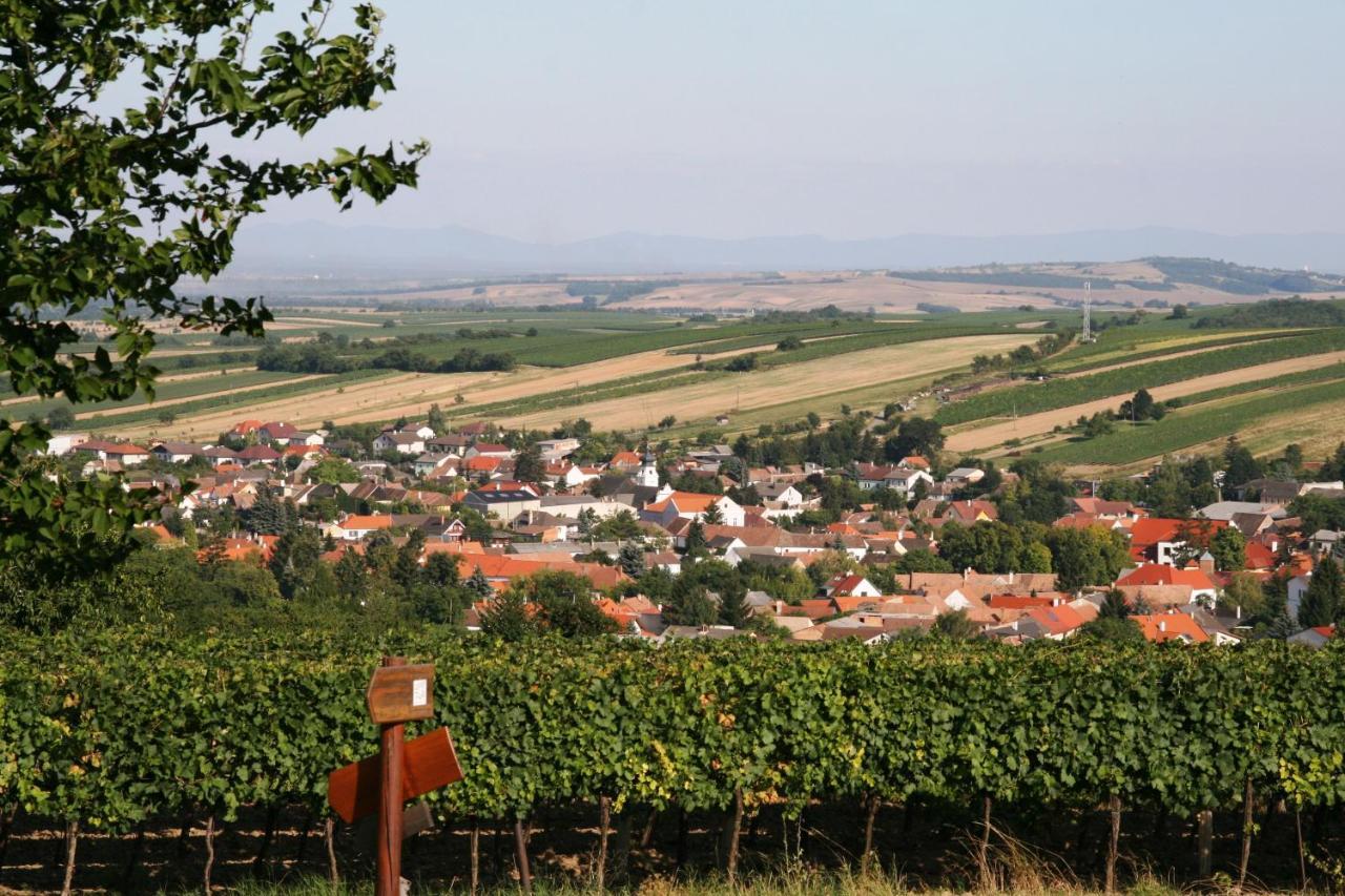Weingut Zur Schlafmuetze Hotel Herrnbaumgarten Kültér fotó