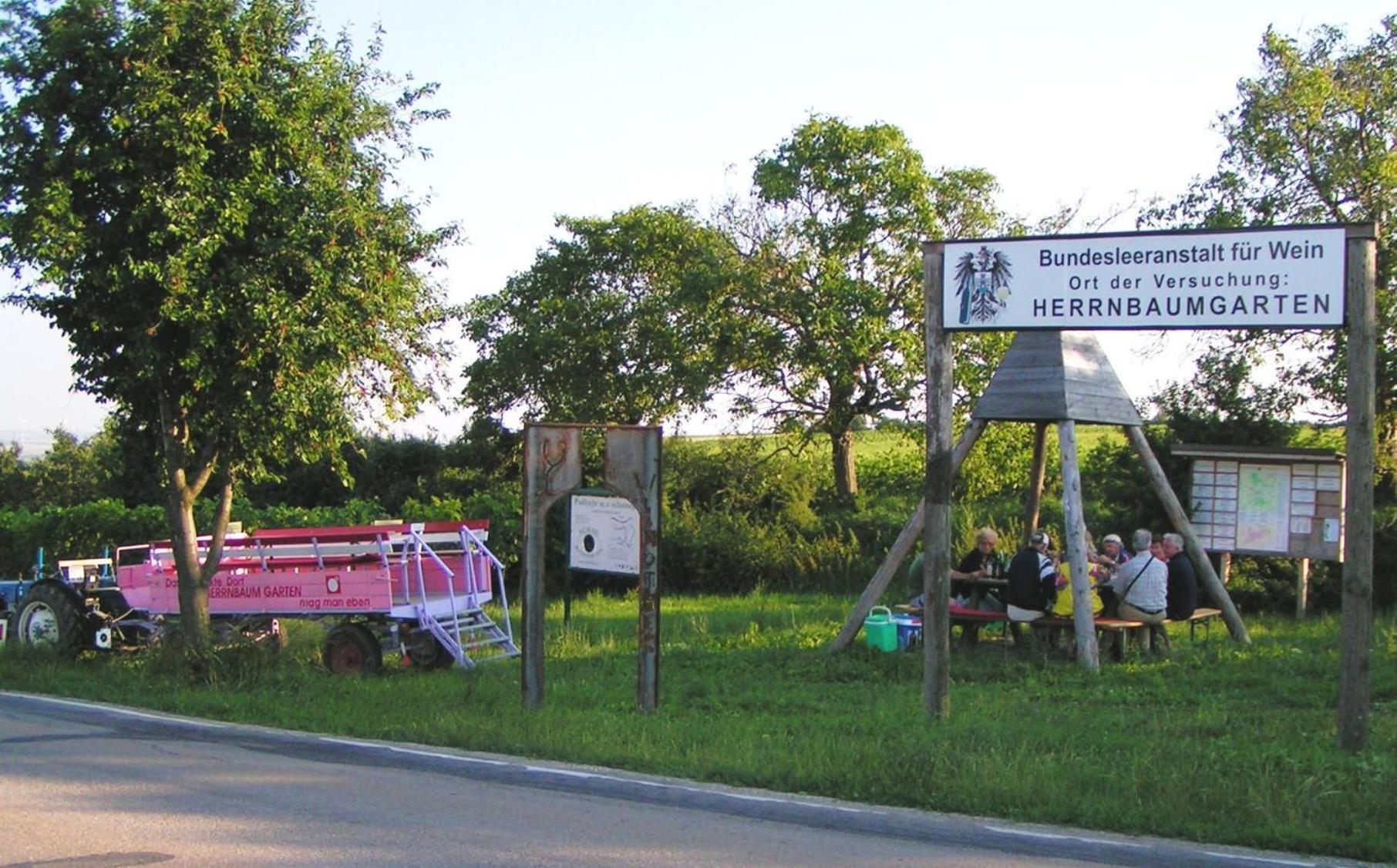 Weingut Zur Schlafmuetze Hotel Herrnbaumgarten Kültér fotó